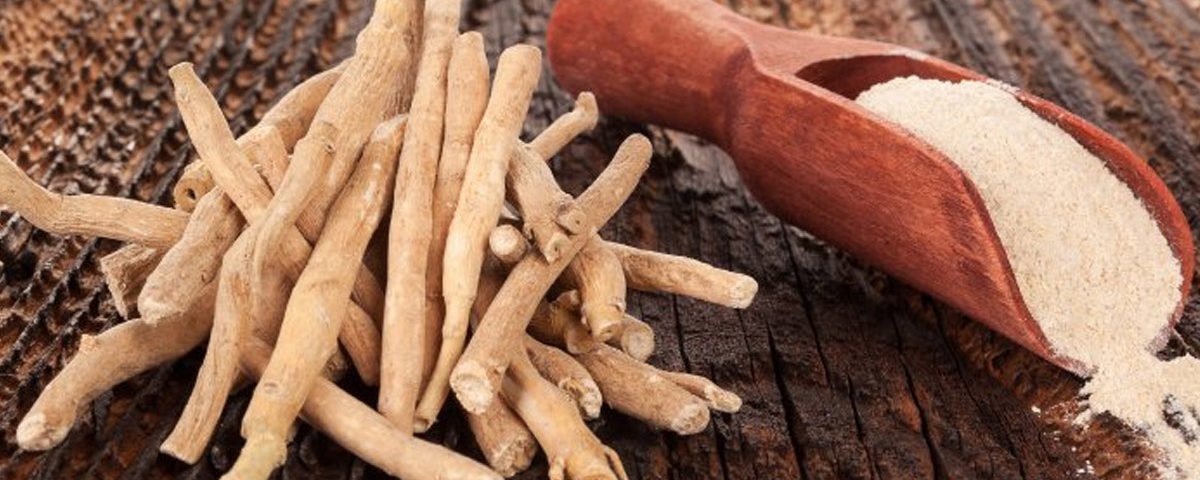 Ashwagandha Benefits | Automatic Body