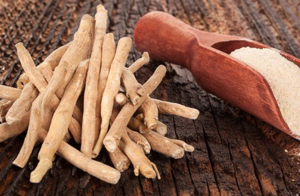 Ashwagandha Benefits | Automatic Body